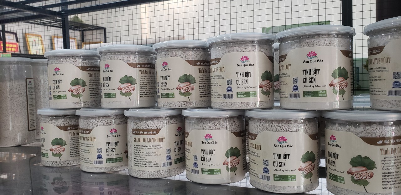 Tinh bột củ sen nguyên chất không pha tạp