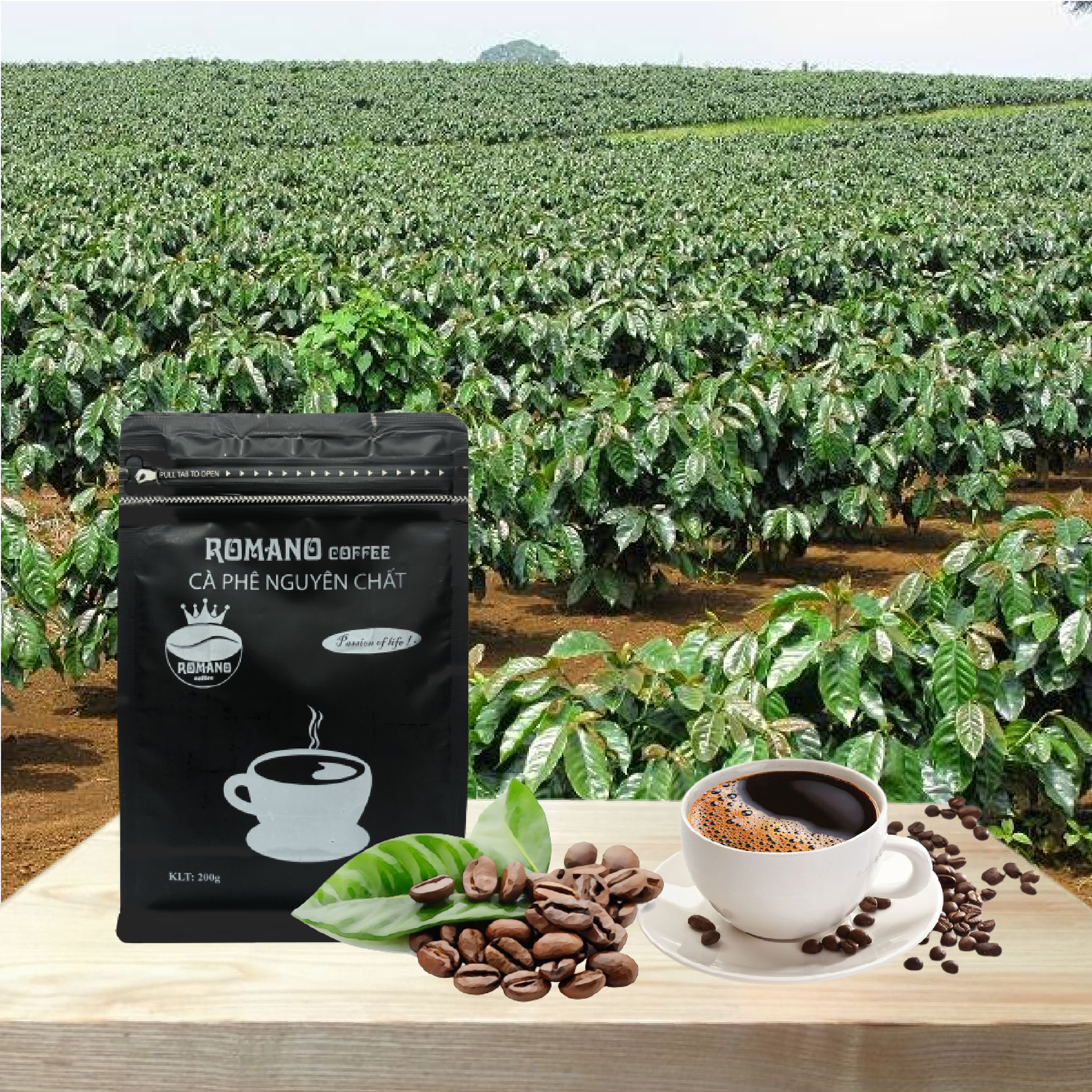 Pure Coffee Romano (package 200gr)