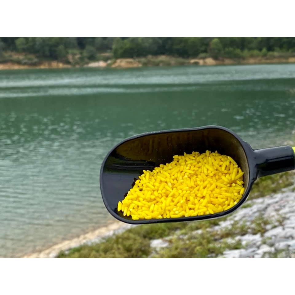 GẠO RƯỢU SA PHẠM Câu Cá 800G - GR01 HM2K MALL