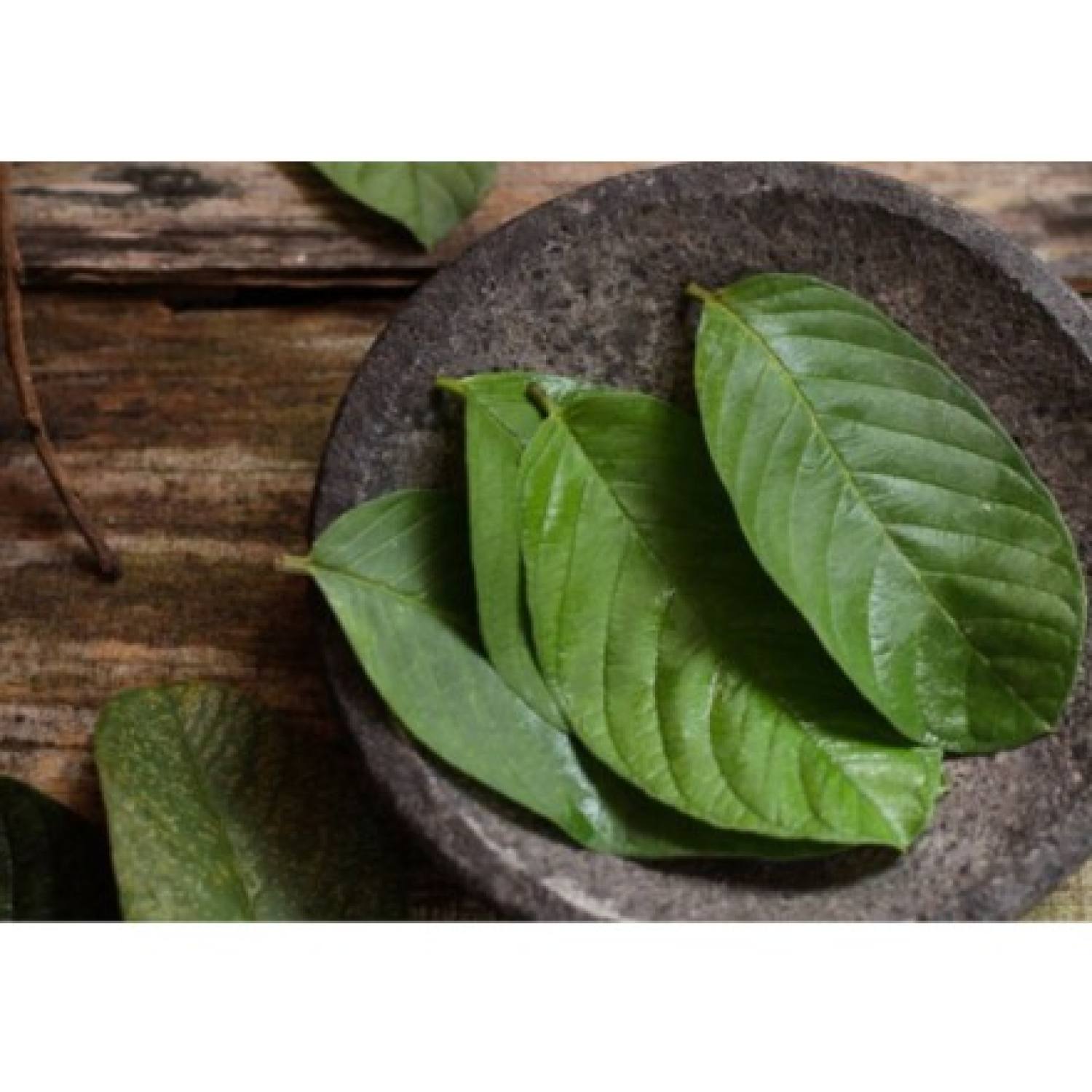 1kg lá ổi khô hàng lᴏại 1