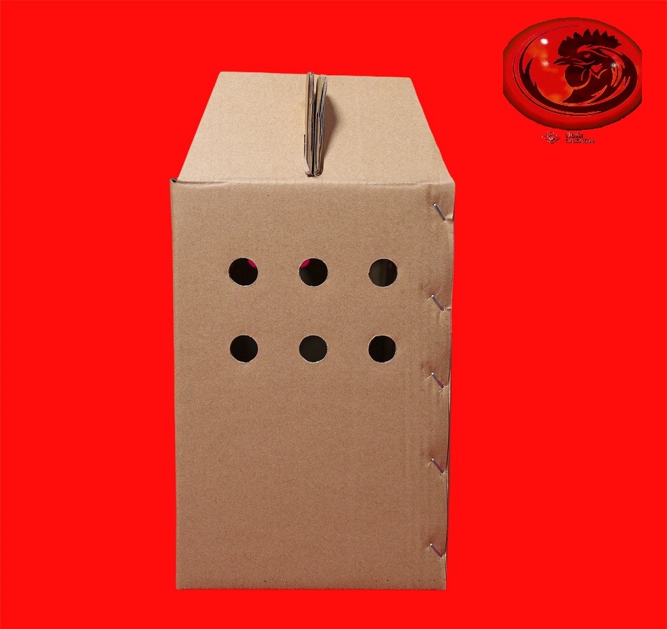 COMBO 5 THÙNG GIẤY ĐỰNG GÀ LÔNG