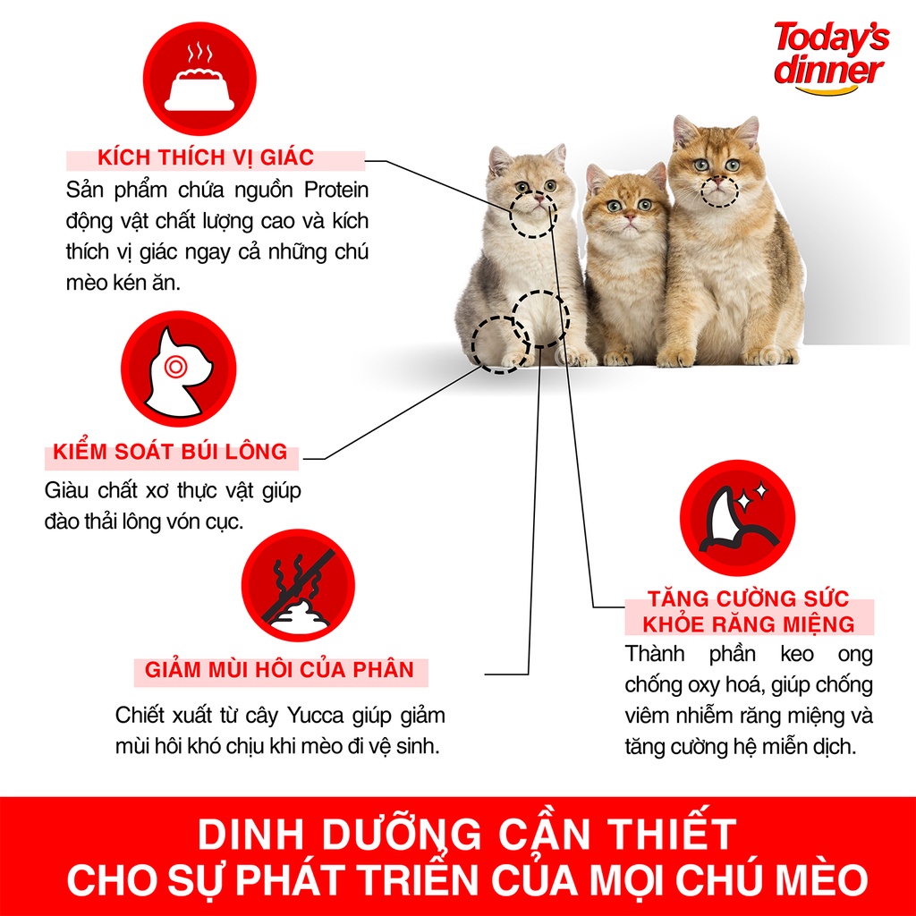 TODAY'S DINNER - HẠT THỨC ĂN CHO MÈO MỌI LỨA TUỔI 1KG