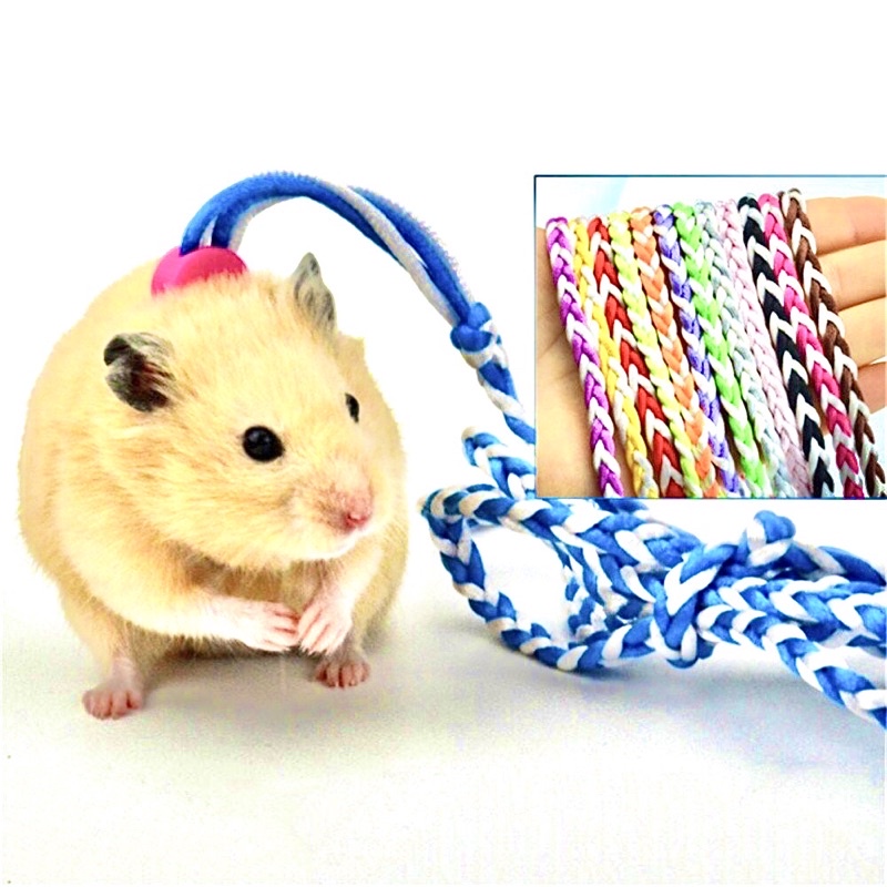 Dây Dắt Hamster Thỏ Bọ Đi Dạo