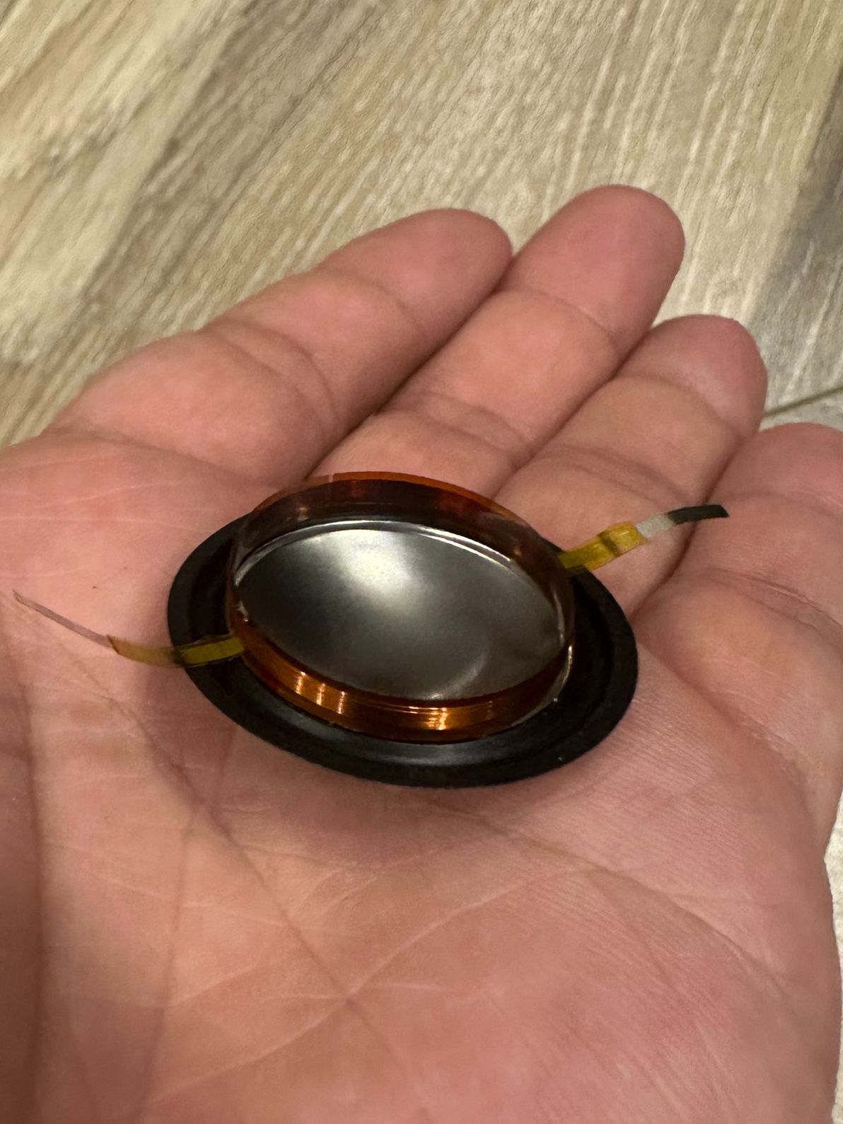 Vòng coil Treble 25.5