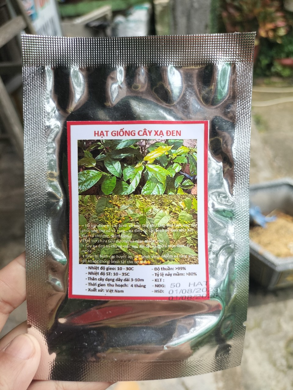Hạt Giống Cây Xạ Đen