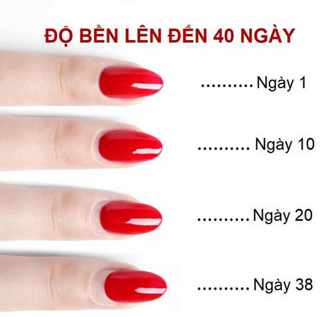 Sơn gel As chai đỏ top lỳ ( top nhám )