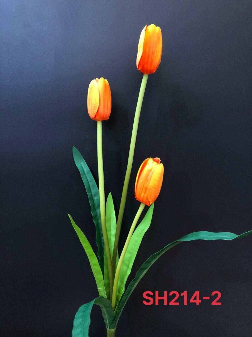 hoa tulip vải 3 bông
