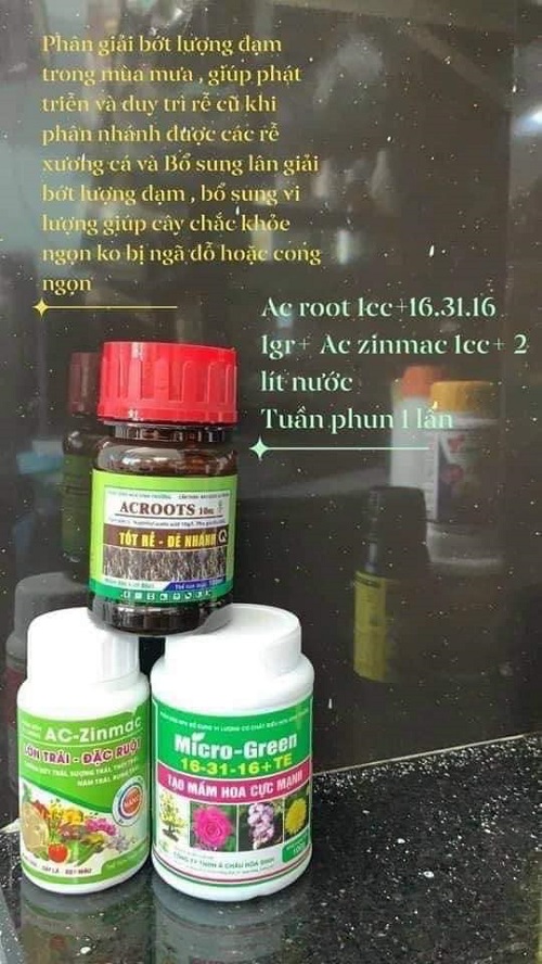 Combo acroots - ac zinmac- 16-31-16 bổ sung đầy đủ dinh dưỡng