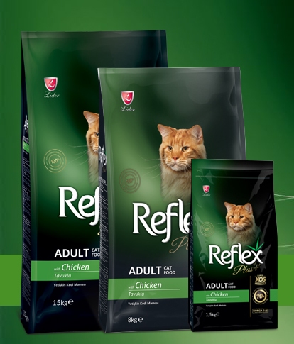 Hạt Reflex Plus Chicken cho mèo 1,5kg