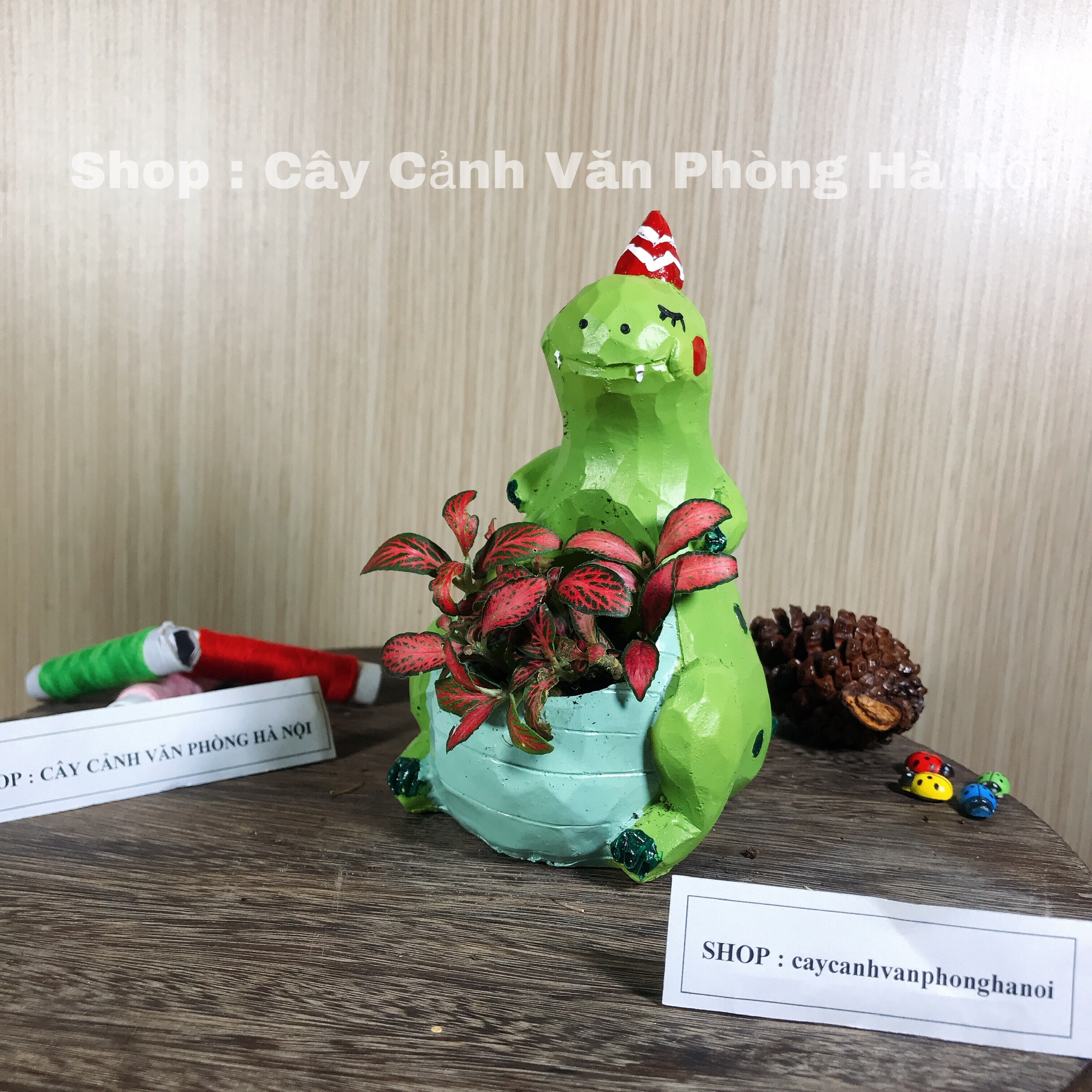 chậu trồng cây hình khủng long xanh [ tặng kèm đất trồng cây ]