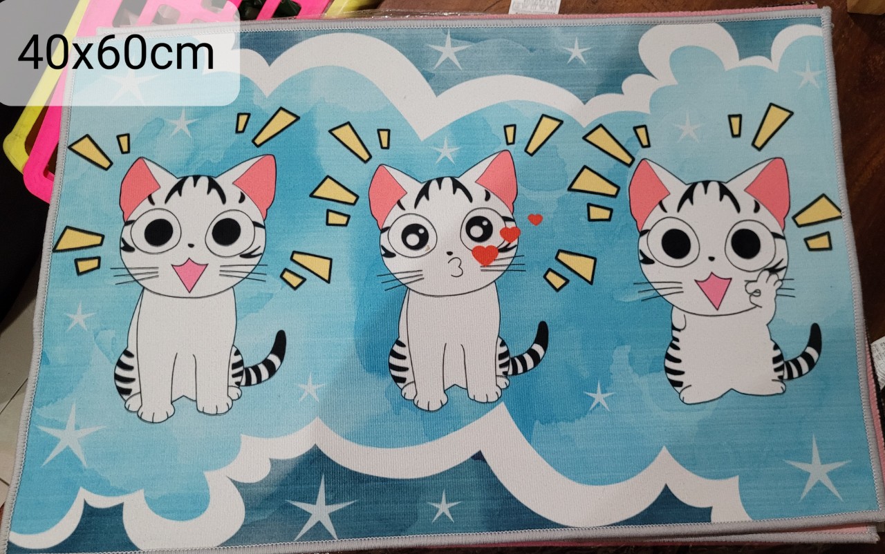 Thảm trải sàn hình Kitty, Thảm trải sàn hình Đôrêamon