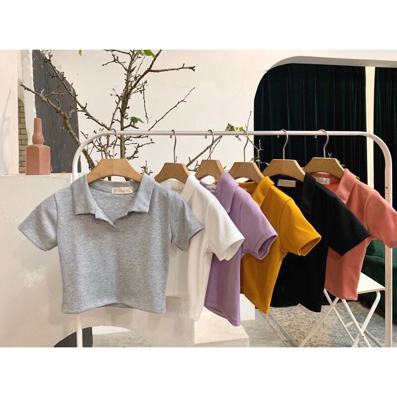 Áo croptop cổ bẻ hót frend