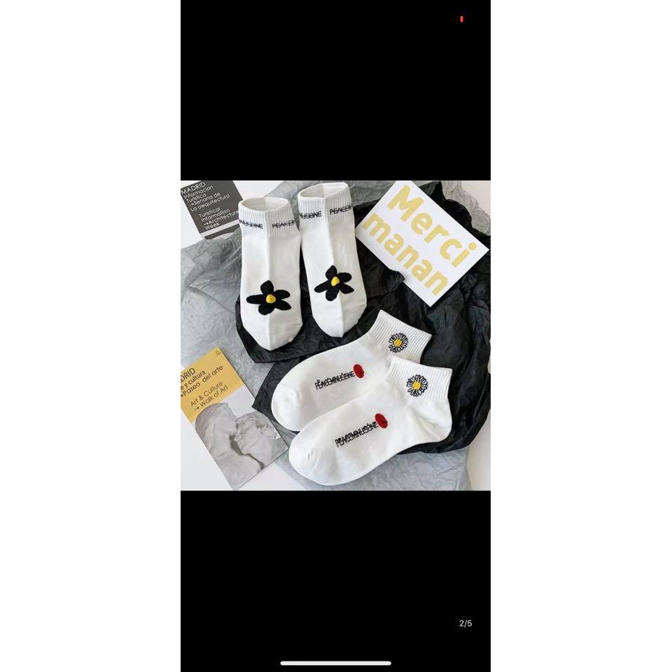 Sét 10 đôi tất hoa cúc trắng cotton