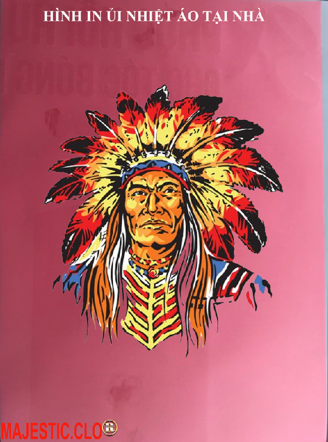 Logo sticker indian skull