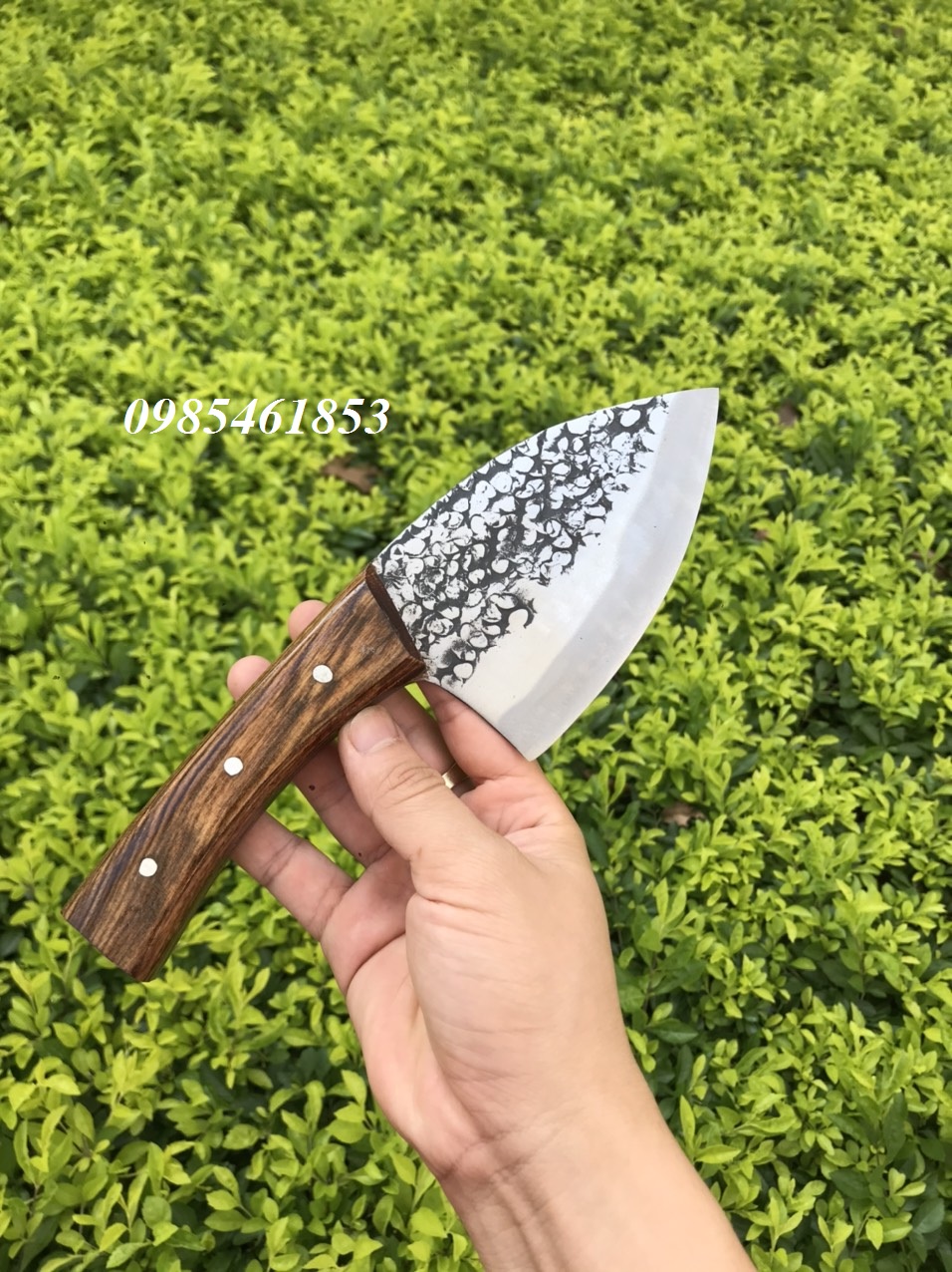 Mã Cá Ngừ Đại Dương - CN31