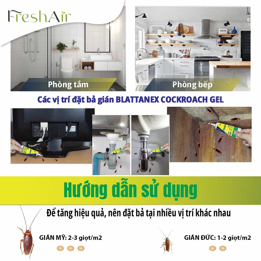 [COMBO DIỆT KIẾN+GIÁN] Maxforce Quantum Vs Blattanex Cockroch Gel, Tiết Kiệm Hơn (ANTS AND COCKROACHES CONTROL)