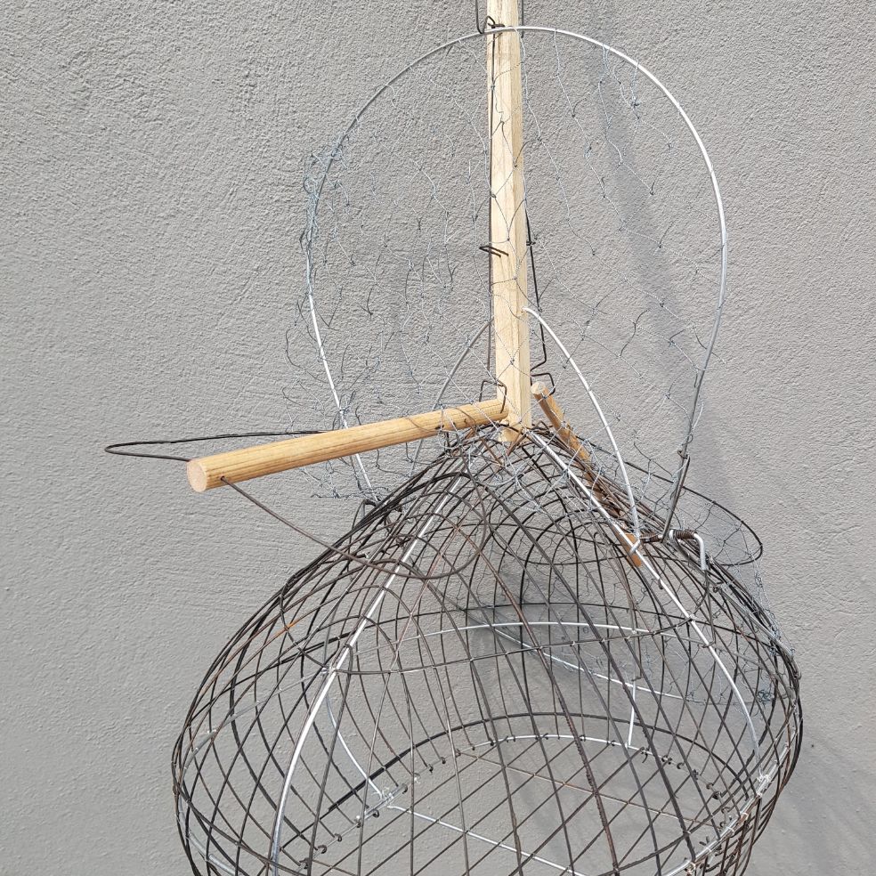 Lồng bẫy các loại chim giá rẻ