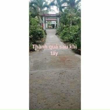 [HÀNG CHẤT LƯỢNG] Bột Tẩy Rong Rêu Gói 500gram