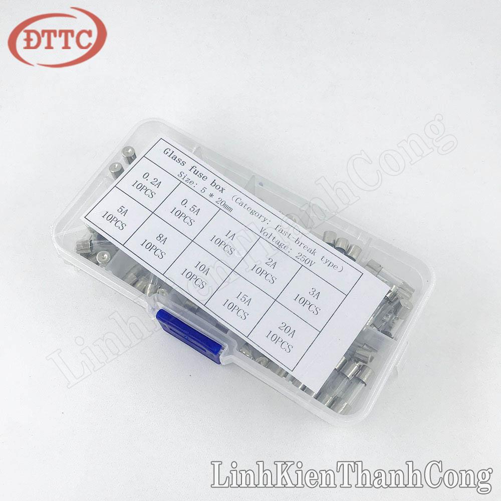 Combo 10 Loại Cầu Chì 5x20mm (100 Cái)