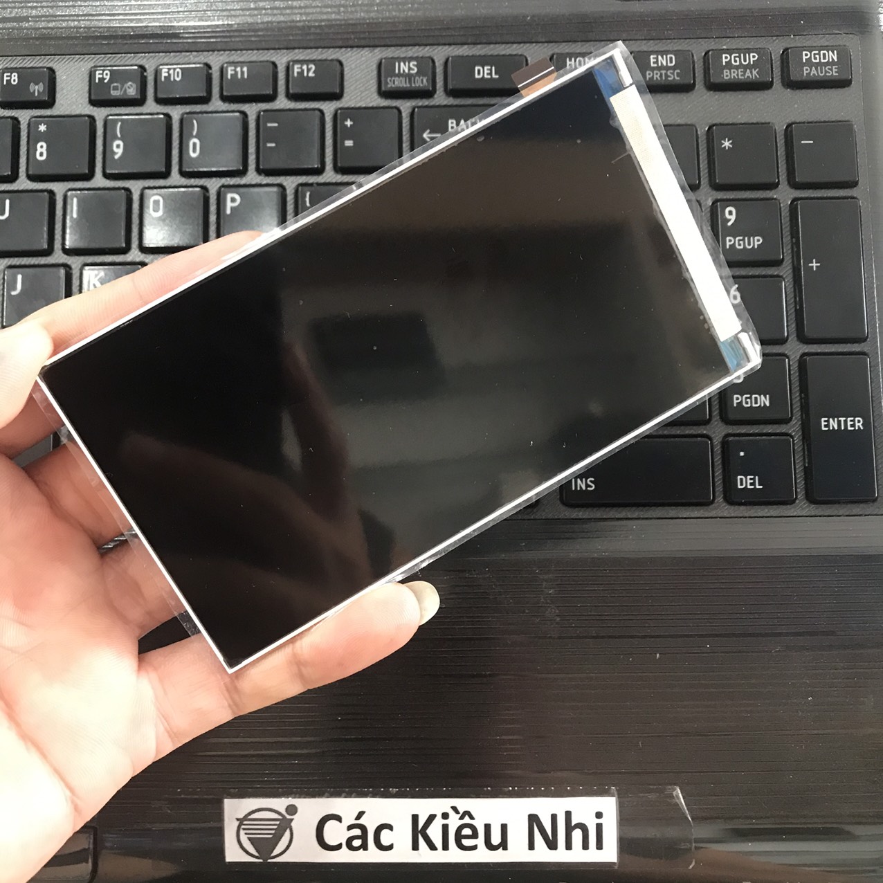 Màn hình	Itel	Alpha Lite | W5008	LCD rời