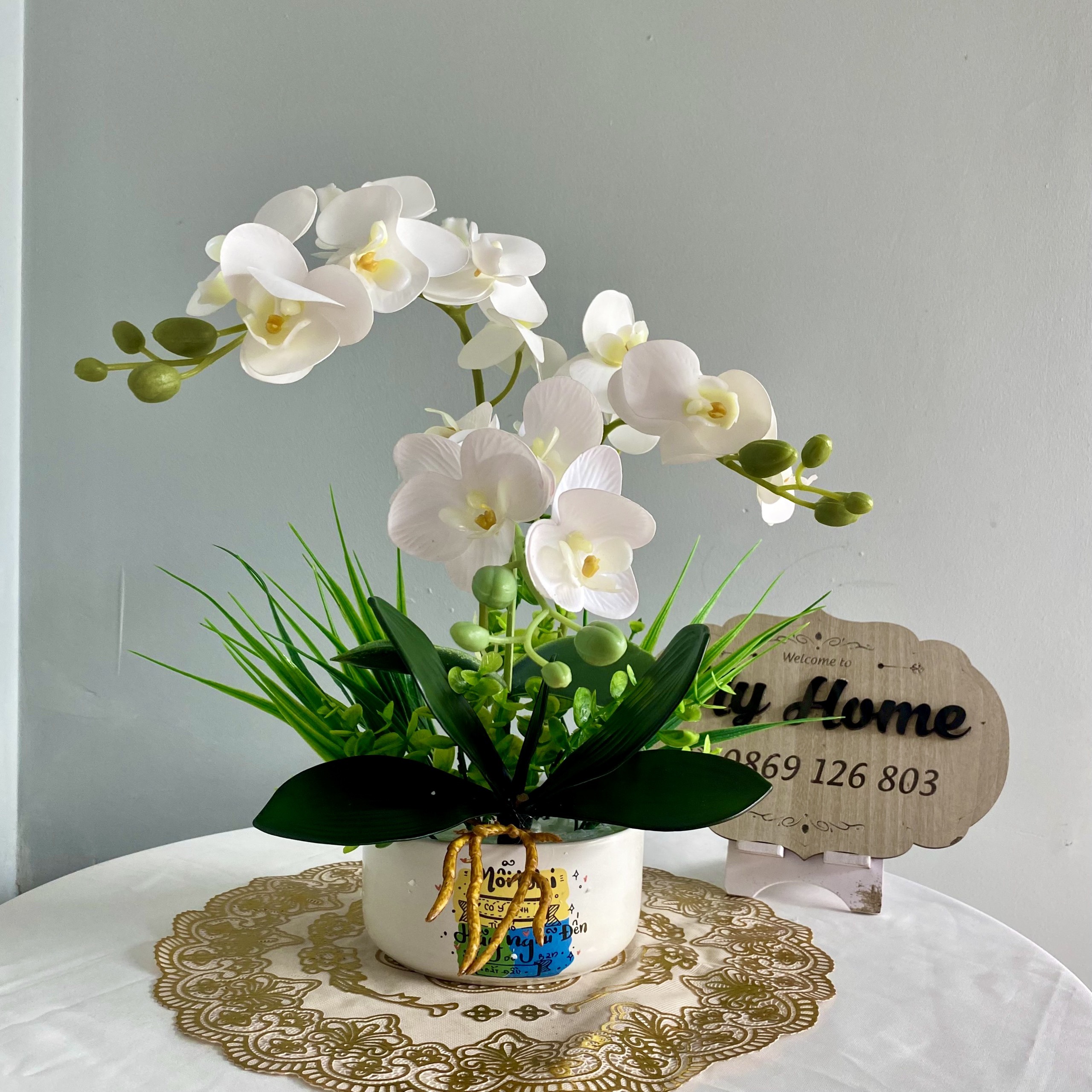 combo 3 chậu lan khách đặt