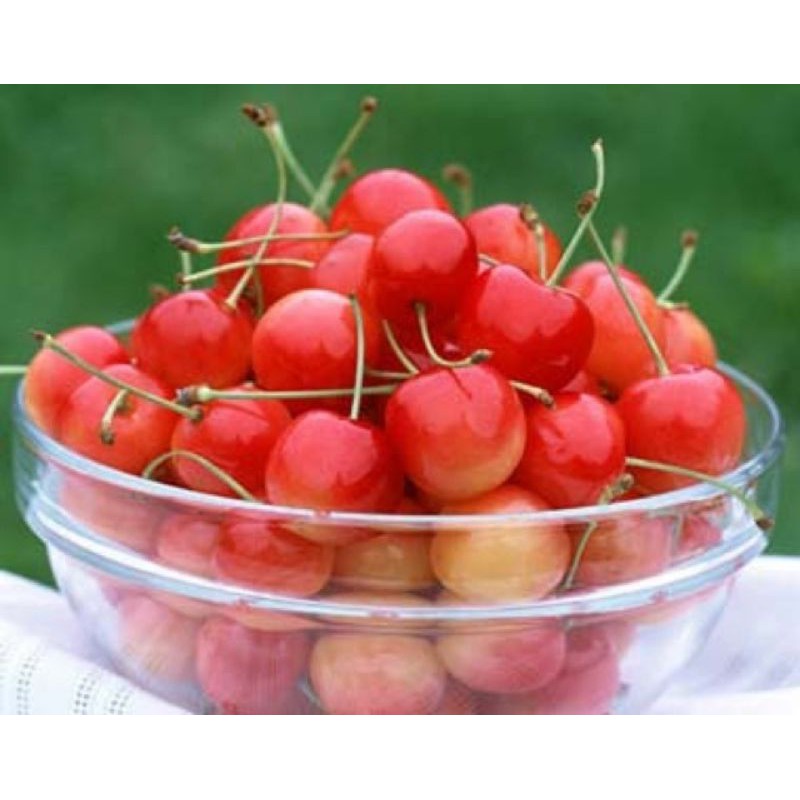 Mứt sơ ri túi 500g (làm bánh, ăn chè)