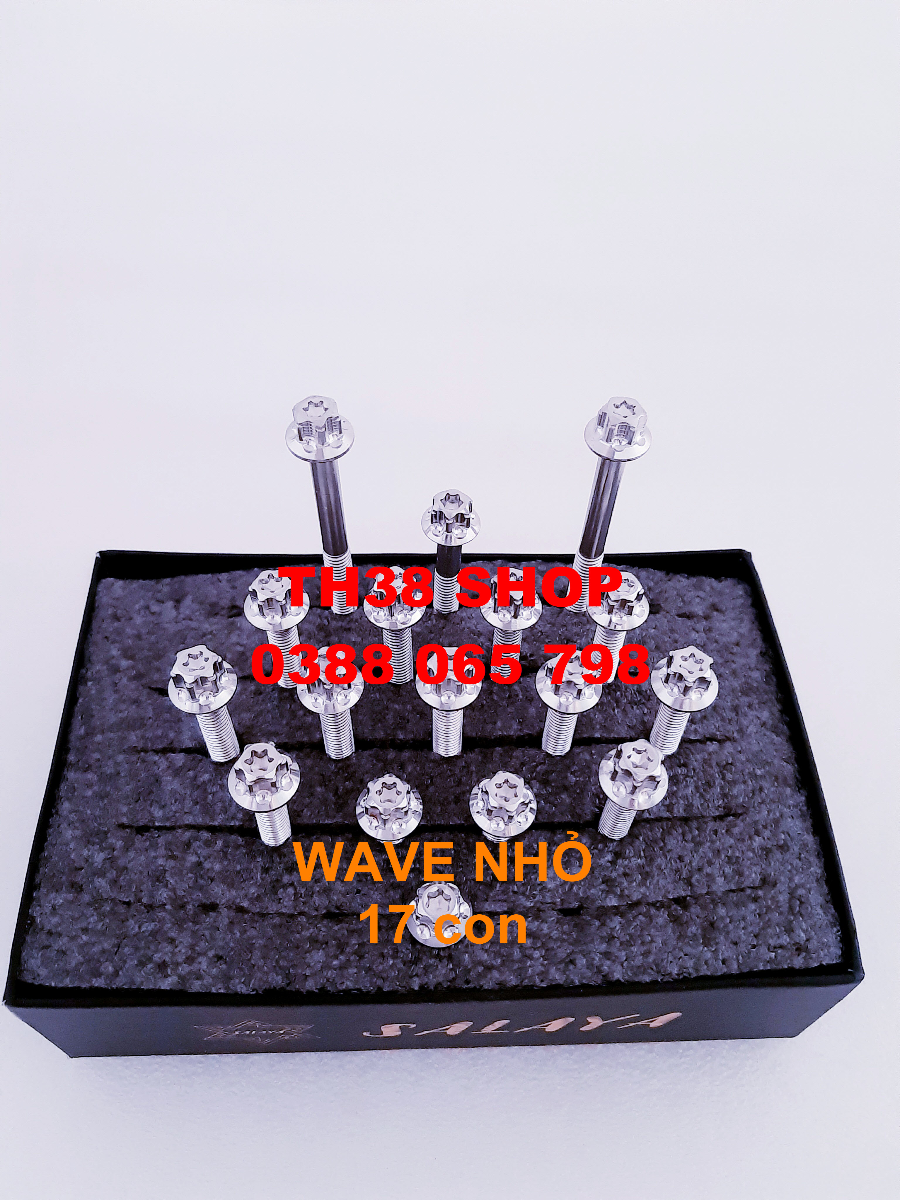 ốc lốc máy salaya wave nhỏ 2004/ super dream [17 con]