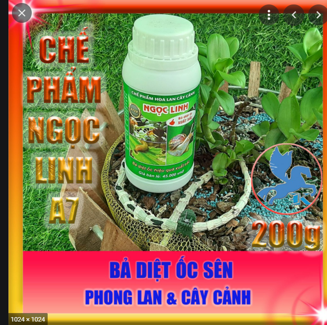Bả diệt ốc sên ngọc linh a7 - 200g