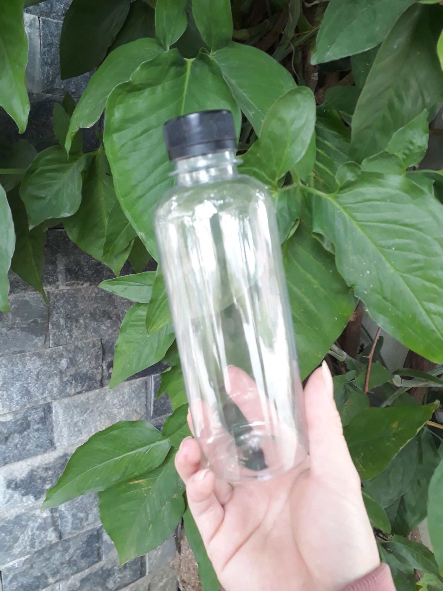 set 10 Chai nhựa tròn miệng vừa 330ml