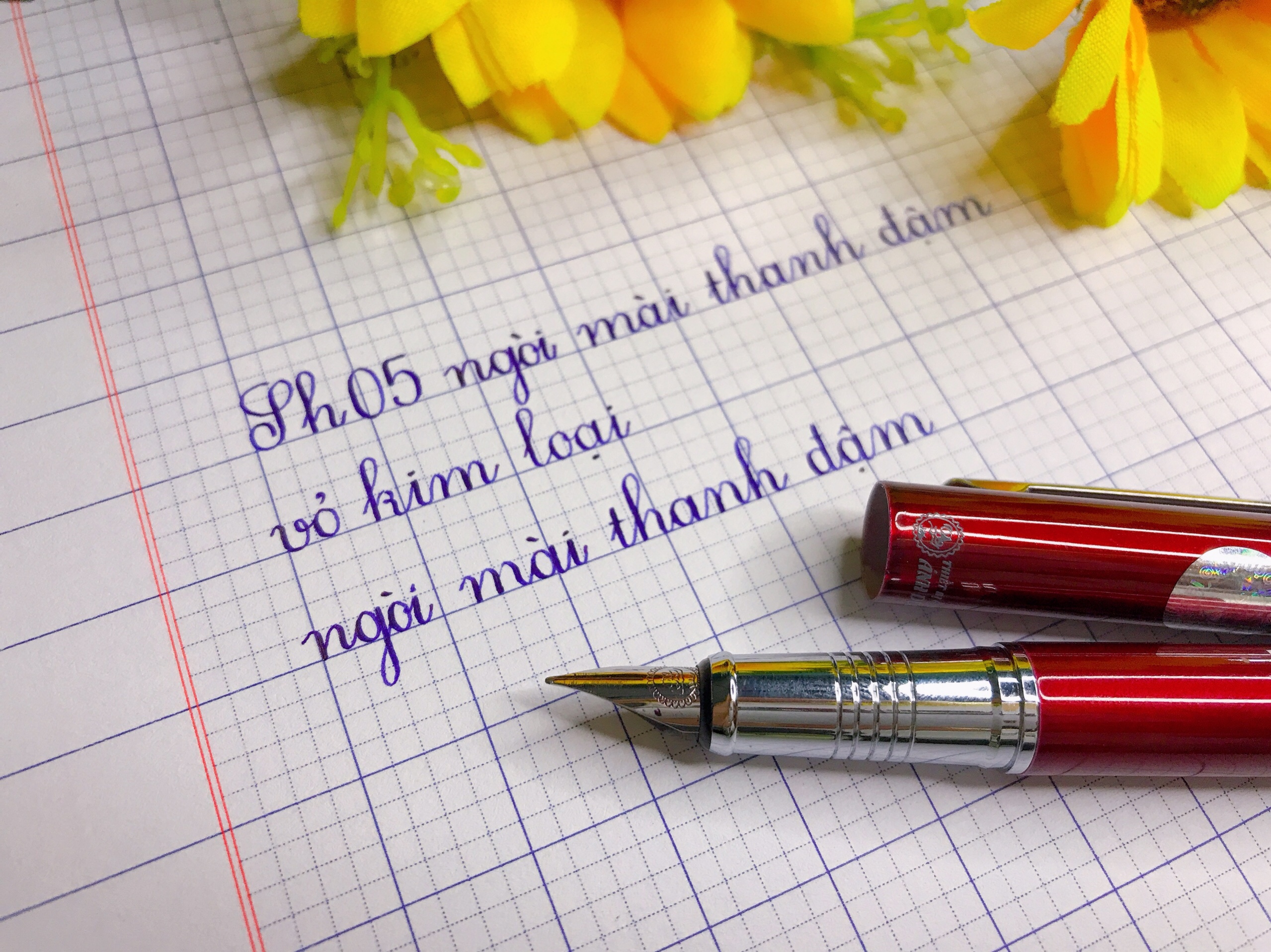 Bút máy Thầy Ánh SH005 ngòi mài thanh đậm