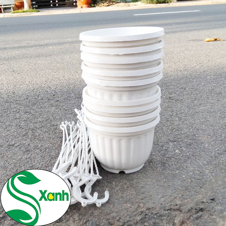 10 chậu treo Mini Kích thước 11x9