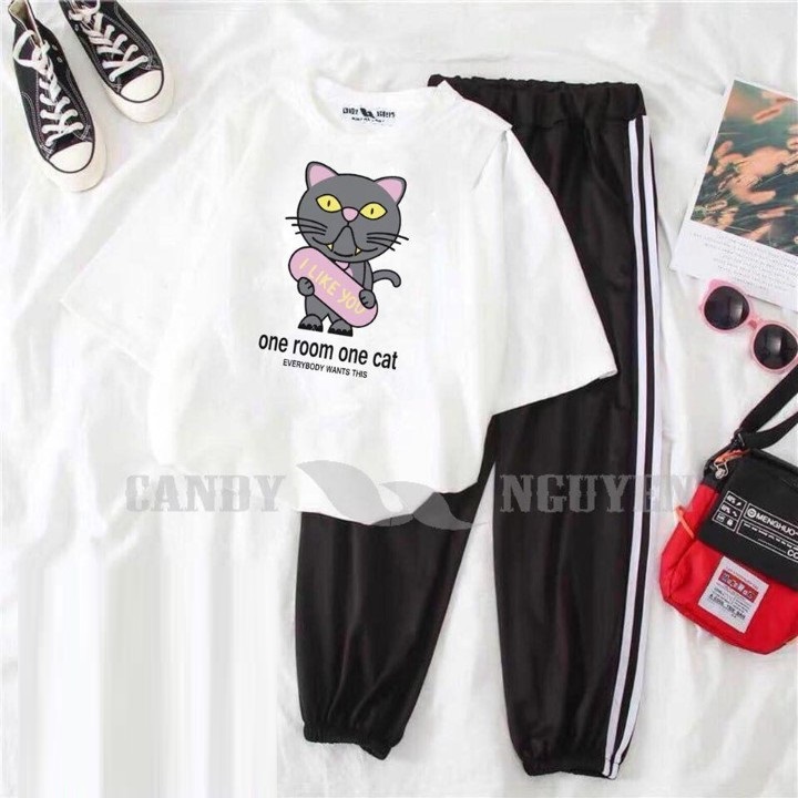 Sét Quần Áo Thời Trang Nữ Xinh Cute Mặc Đi Chơi Dạo Phố, Áo Cotton Organic Ngắn Tay Cổ Tròn In Cún Nằm Trong Túi Kèm Quần Thun Bo Chun Gấu