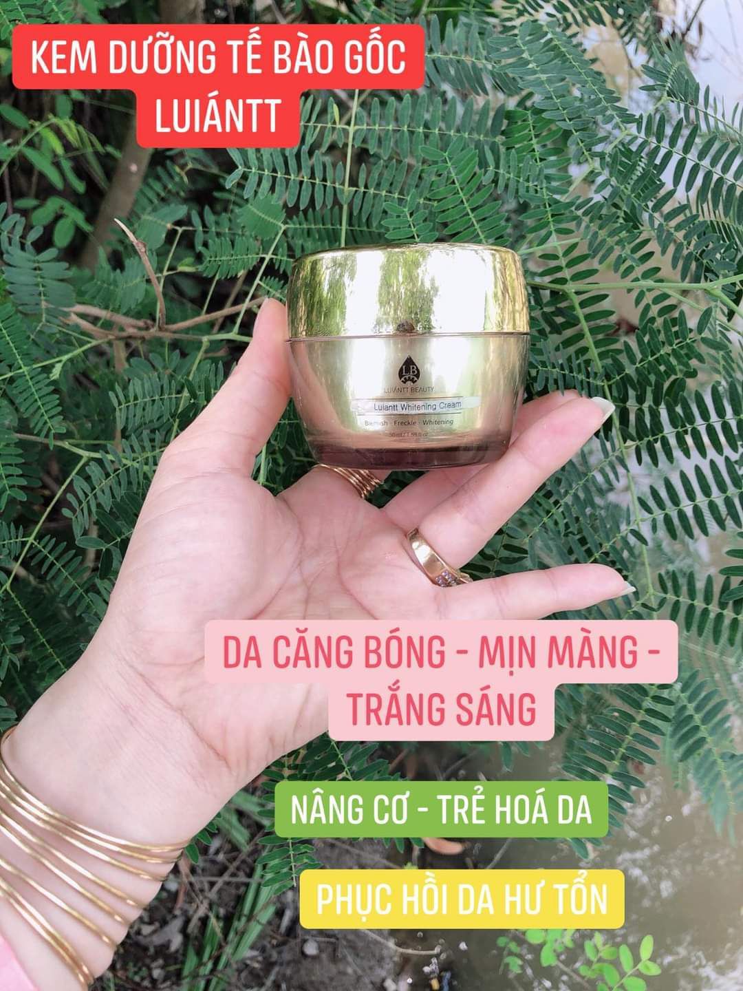 KEM DƯỠNG TRẮNG TẾ BÀO GỐC HÀN QUỐC
