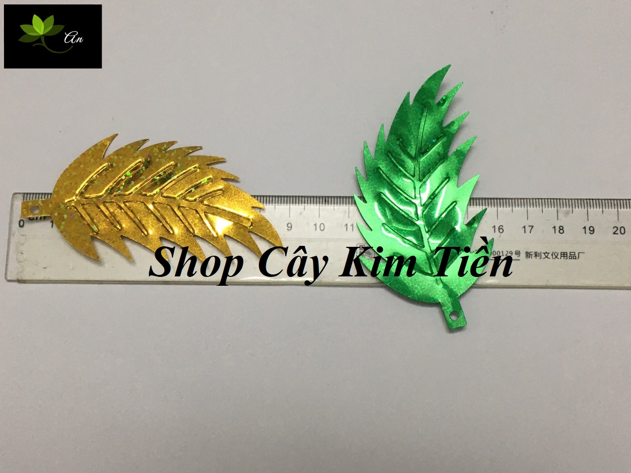 Lá dừa kim sa dài 9cm, rộng 5cm
