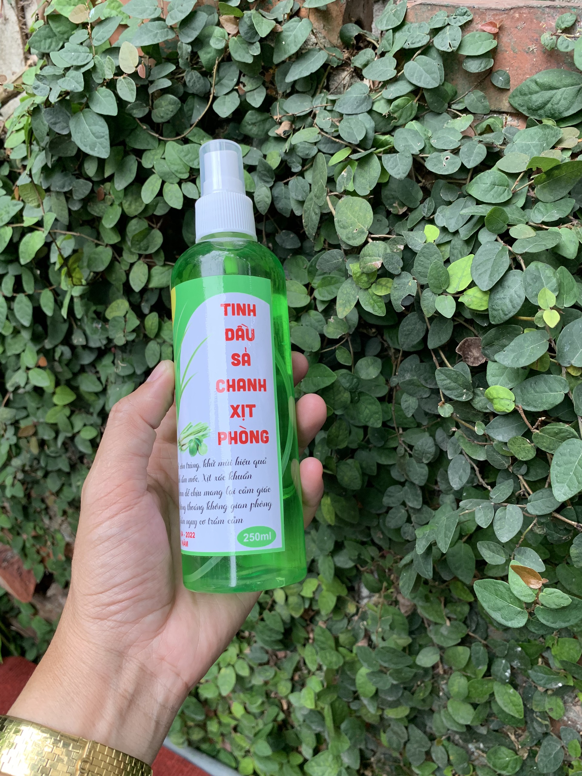 Tinh dầu sả/ Sả chanh