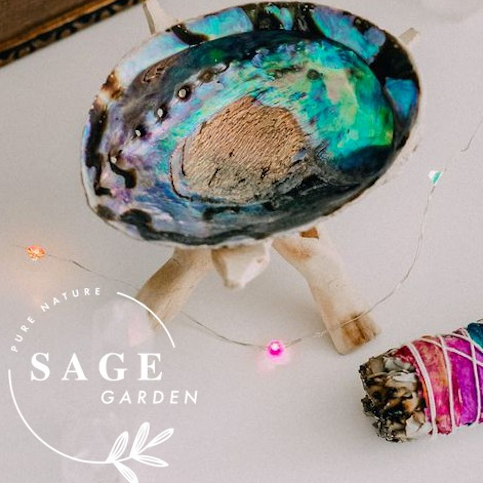 SET TIỆN ÍCH size M (1 Ốc Rainbow M và 1 Đế Gỗ M) SAGE GARDEN