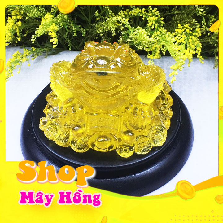 Cóc phong thủy kèm đế màu vàng chiêu tài , thu hút khách hang trong kinh doanh