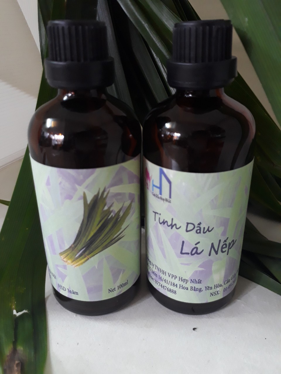Tinh dầu Lá Nếp thơm Lọ 100ml