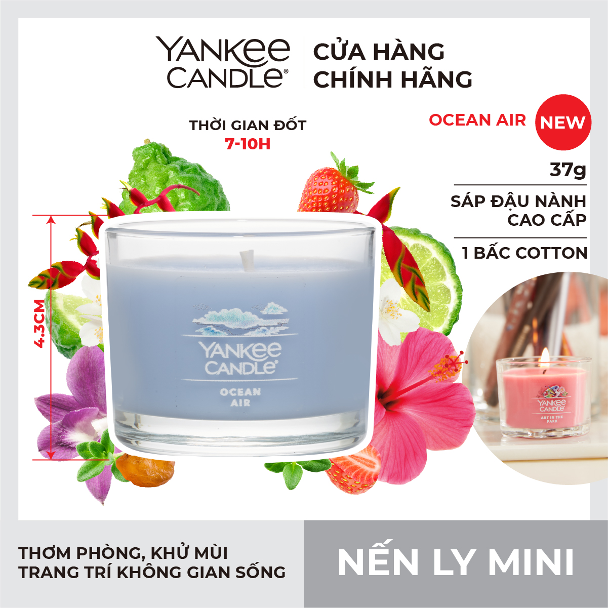 Nến ly mini Yankee Candle (37g) - Ocean Air