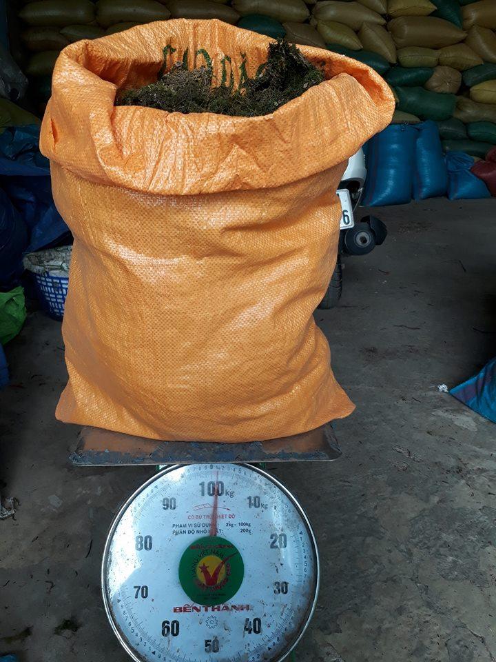 Rêu rừng trồng lan phơi khô 500gr