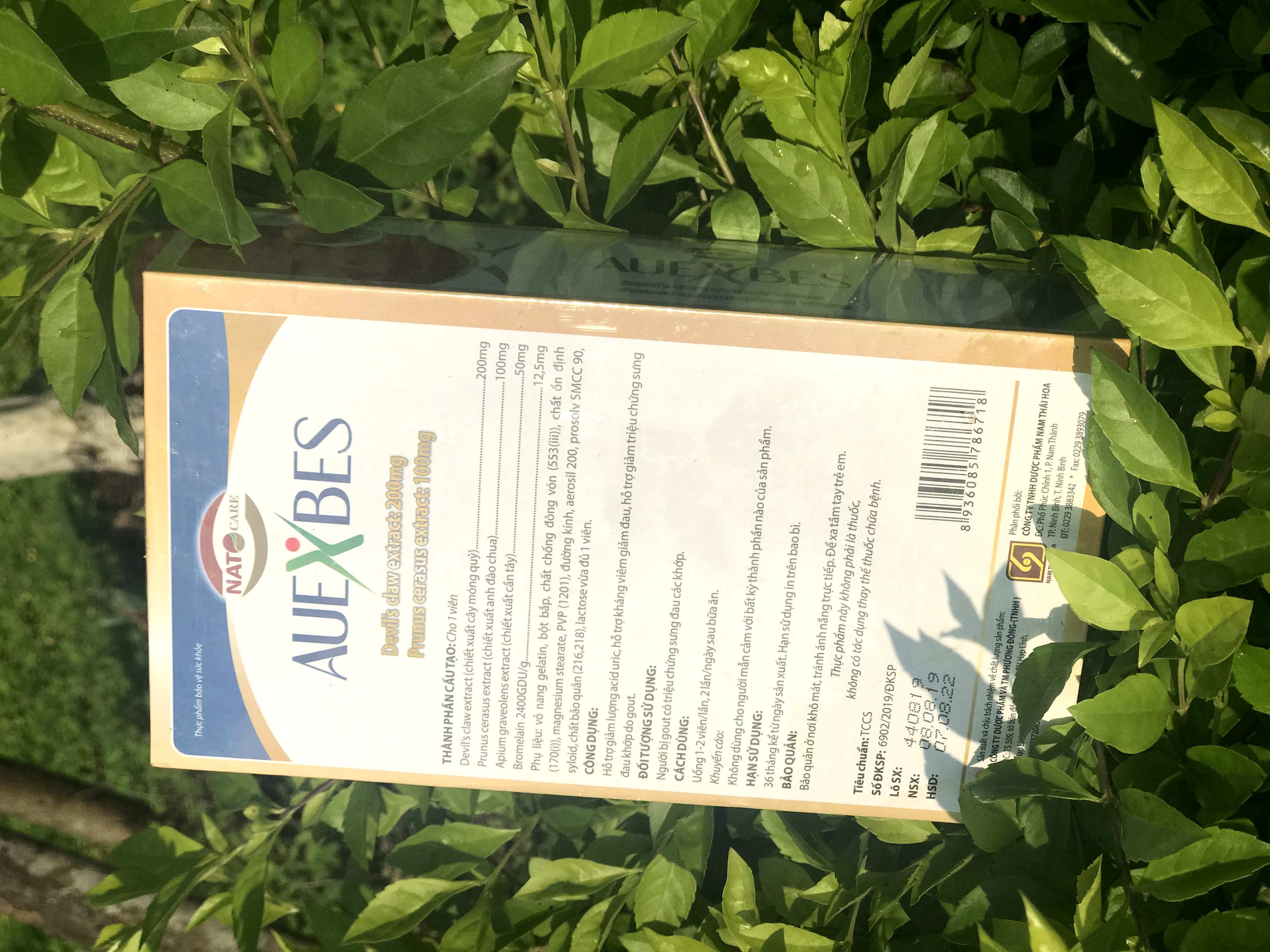 Hỗ trợ gút AUEXBES