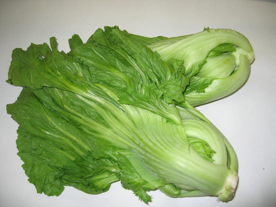 [HCM]Hạt giống Cải bẹ dưa - PhuNongSeeds
