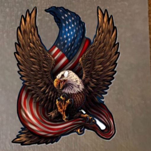 Hình ủi ép nhiệt-hình in áo đại bàng Sticker logo American Eagle -khuyến mãi - công nghệ in pet chuyển nhiệt- ủi trực tiếp lên vải, áo rất đẹp