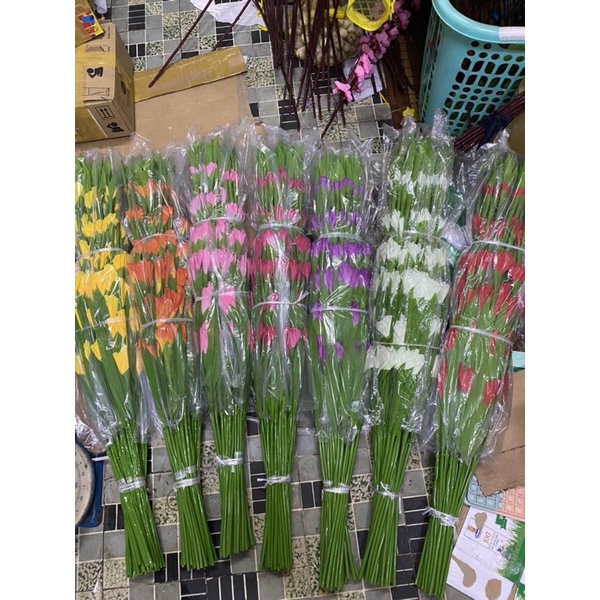 combo 10 củ  Hoa lay ơn đủ màu