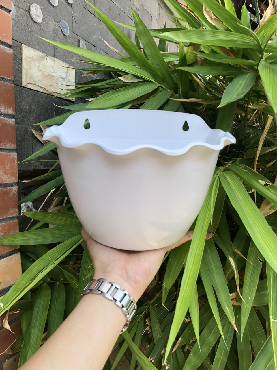 Chậu ốp tường bèo