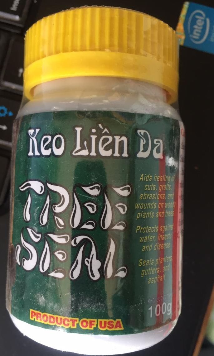 Keo liền da Mỹ Morrison 100g