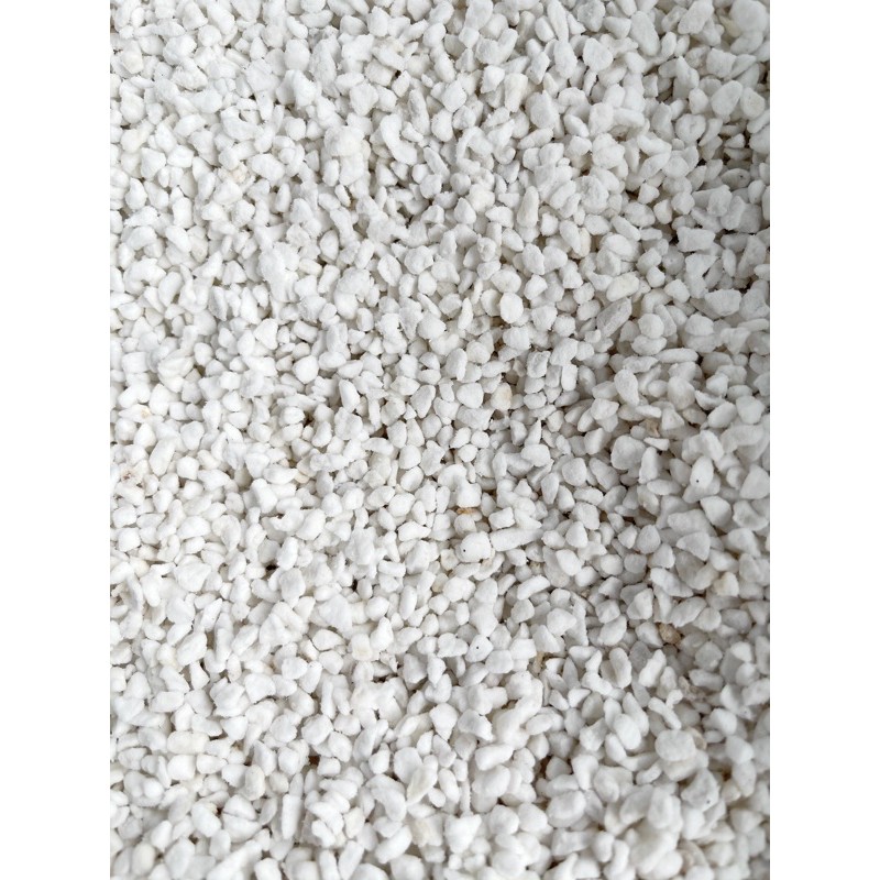 Đá perlite (100g)