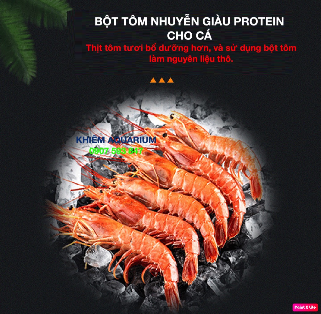 Cám cá vàng BESSN ASTRONOTUS 450g, Siêu kích màu cho cá cảnh TAI TƯỢNG CHÂU PHI, THẦN TAI, LA HÁN CÁ SĂN MỒI(hulx,hikari,mizuho)