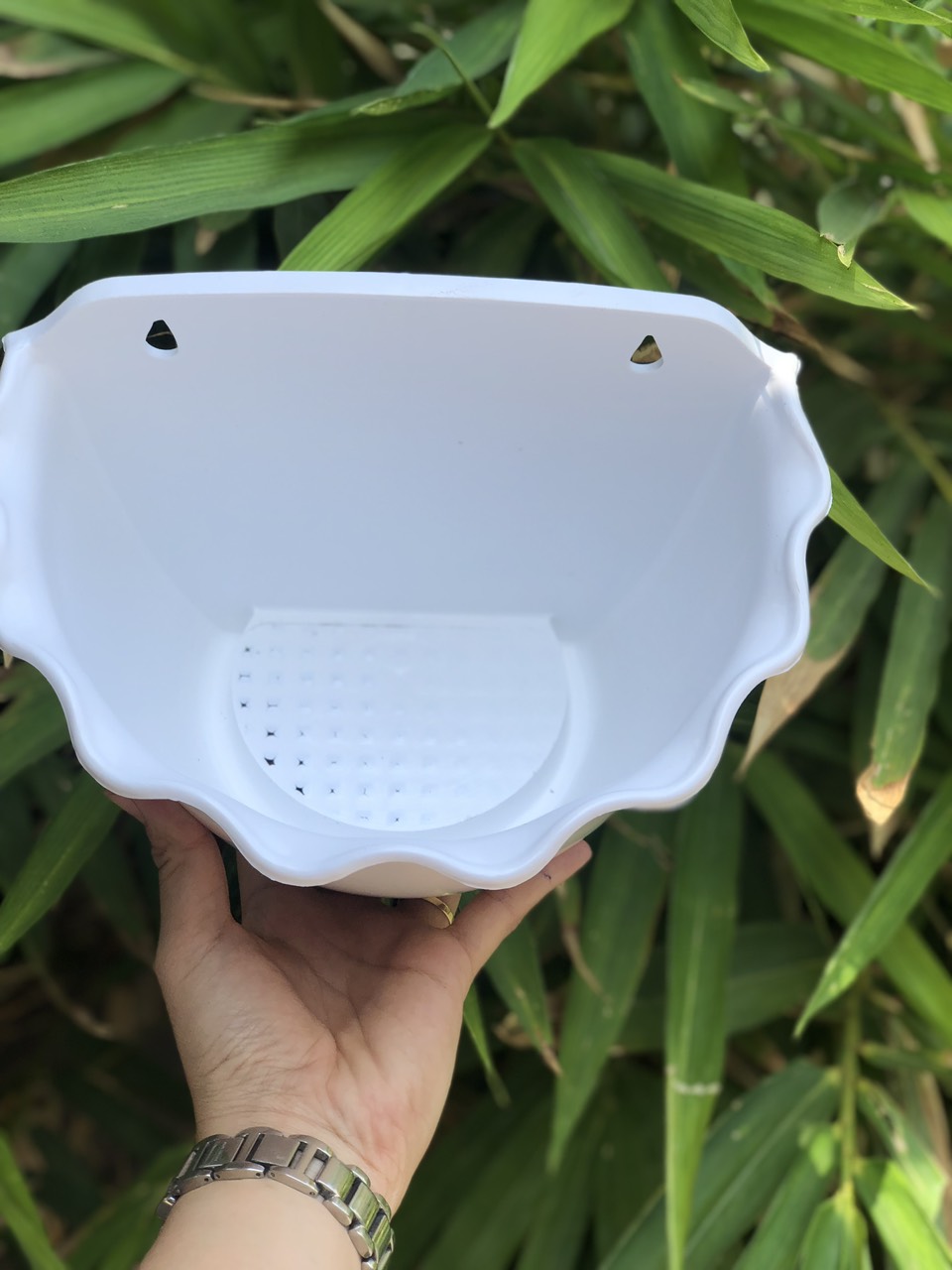 CHẬU ỐP TƯỜNG BÈO