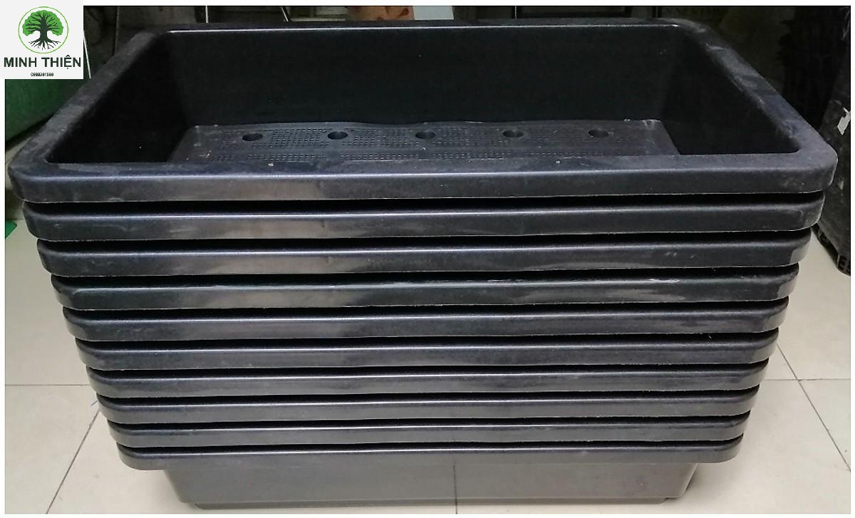 Combo 10 Chậu nhựa trồng rau cỡ lớn Khay trồng rau thế hệ mới size 67cm x 45cm x 21cm (màu đen)